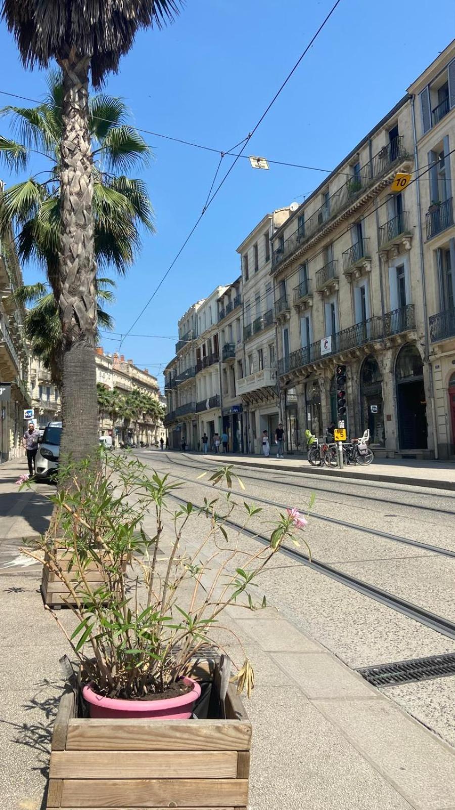 Appartamento Renaissance Montpellier Esterno foto